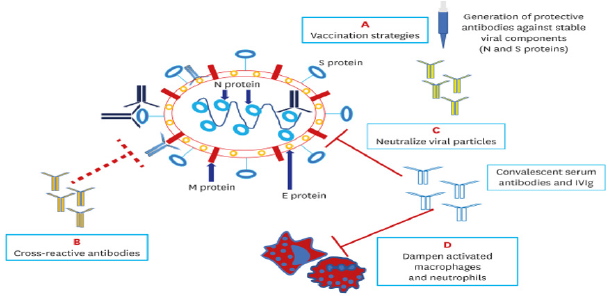biomedres-openaccess-journal-bjstr