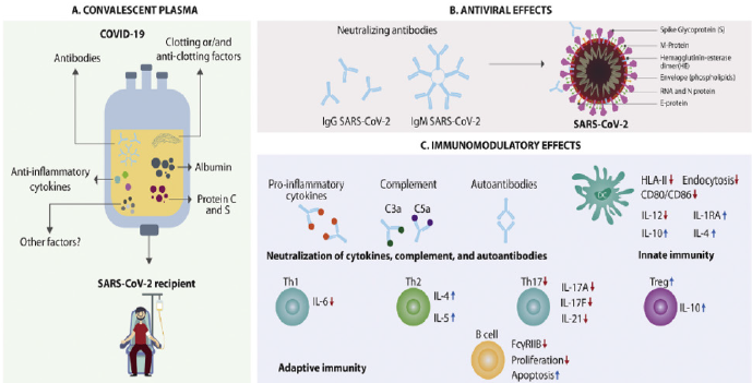 biomedres-openaccess-journal-bjstr
