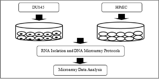 biomedres-openaccess-journal-bjstr