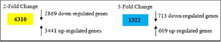 biomedres-openaccess-journal-bjstr