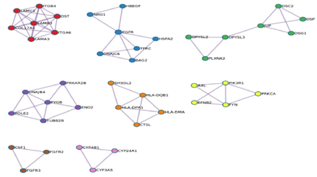 biomedres-openaccess-journal-bjstr