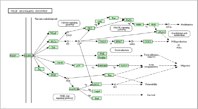 biomedres-openaccess-journal-bjstr