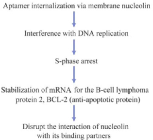 biomedres-openaccess-journal-bjstr