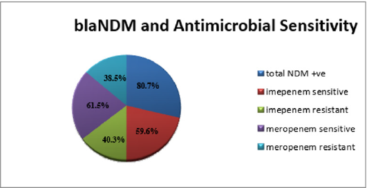 biomedres-openaccess-journal-bjstr