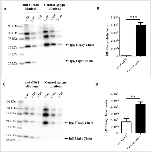 biomedres-openaccess-journal-bjstr