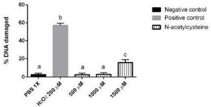 biomedres-openaccess-journal-bjstr