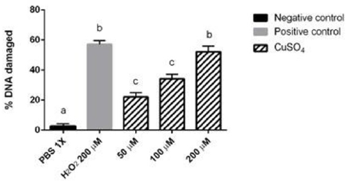 biomedres-openaccess-journal-bjstr