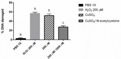 biomedres-openaccess-journal-bjstr