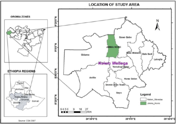 biomedres-openaccess-journal-bjstr