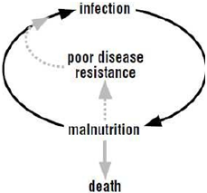 biomedres-openaccess-journal-bjstr