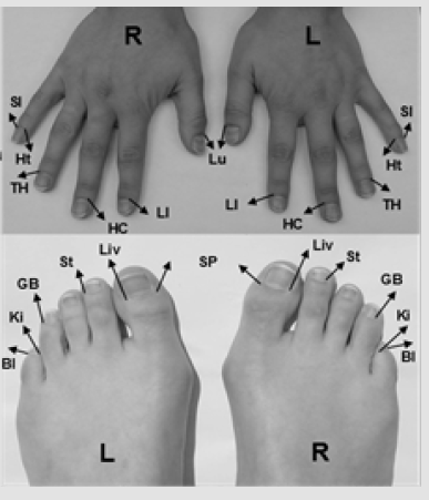 biomedres-openaccess-journal-bjstr