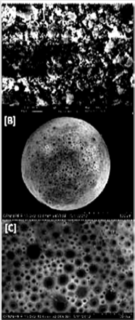 biomedres-openaccess-journal-bjstr
