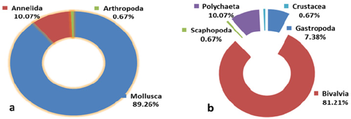 biomedres-openaccess-journal-bjstr