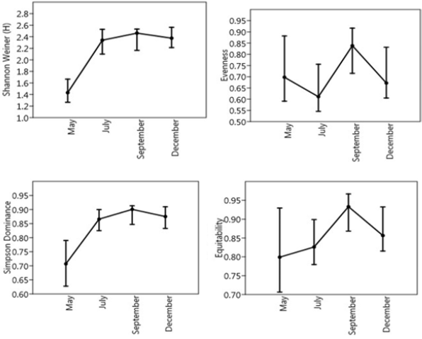 biomedres-openaccess-journal-bjstr
