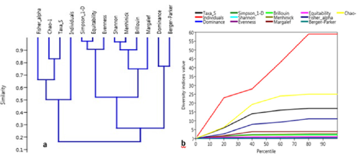 biomedres-openaccess-journal-bjstr