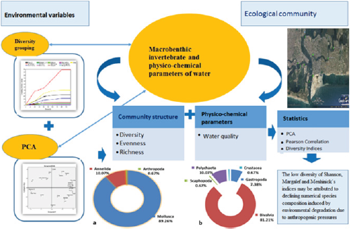 biomedres-openaccess-journal-bjstr