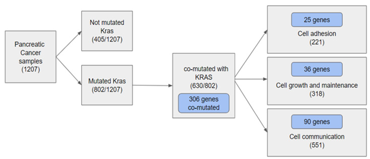 biomedres-openaccess-journal-bjstr