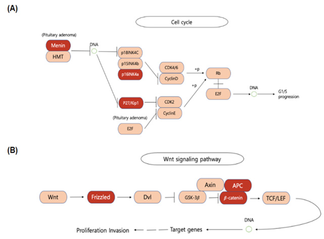 biomedres-openaccess-journal-bjstr