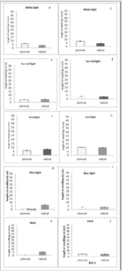 biomedres-openaccess-journal-bjstr