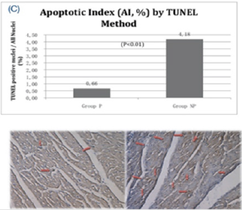 biomedres-openaccess-journal-bjstr