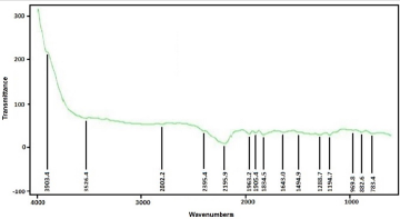 biomedres-openaccess-journal-bjstr