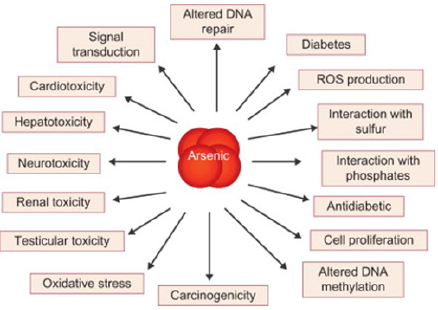 biomedres-openaccess-journal-bjstr