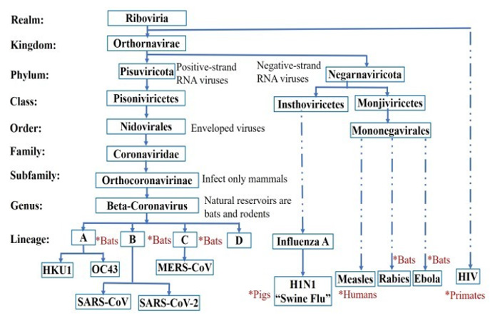 biomedres-openaccess-journal-bjstr