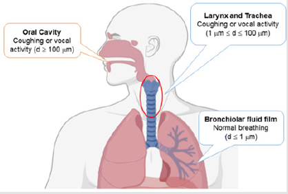 biomedres-openaccess-journal-bjstr