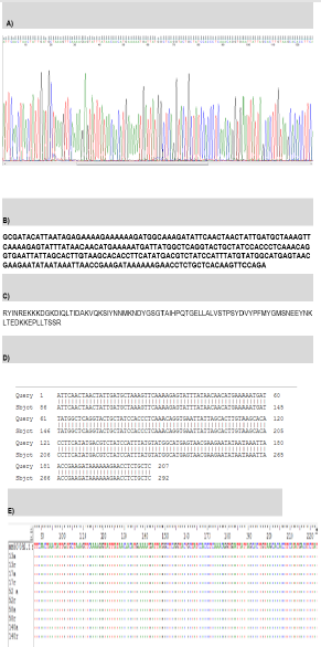 biomedres-openaccess-journal-bjstr