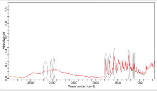 biomedres-openaccess-journal-bjstr