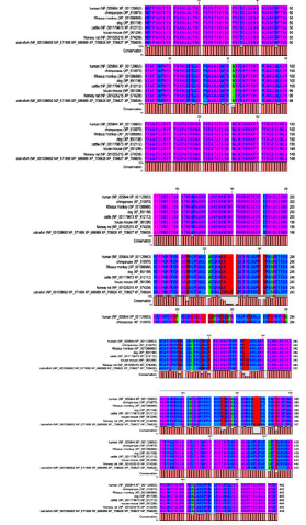 biomedres-openaccess-journal-bjstr
