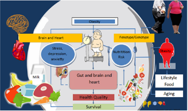 biomedres-openaccess-journal-bjstr