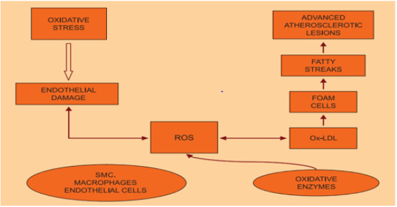 biomedres-openaccess-journal-bjstr