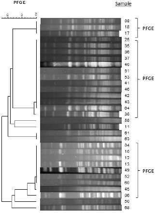 biomedres-openaccess-journal-bjstr