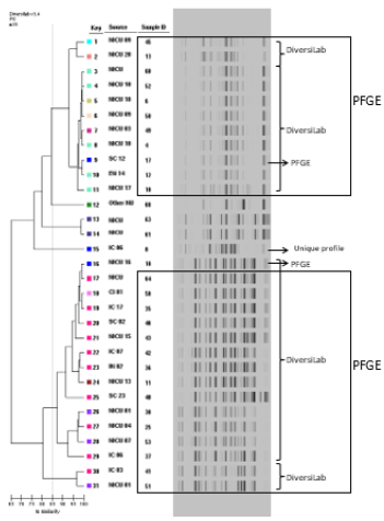 biomedres-openaccess-journal-bjstr