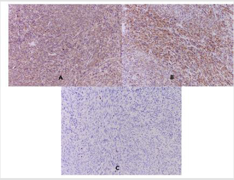 biomedres-openaccess-journal-bjstr