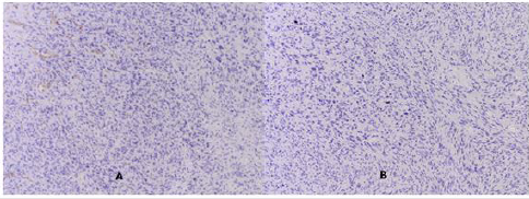biomedres-openaccess-journal-bjstr