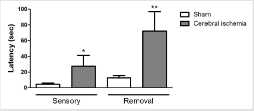 biomedres-openaccess-journal-bjstr