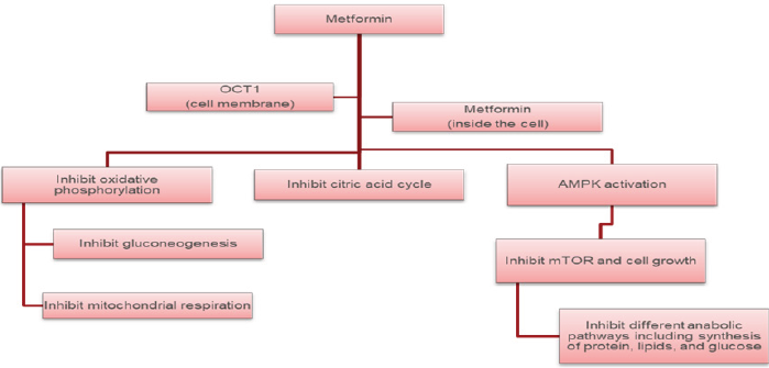biomedres-openaccess-journal-bjstr
