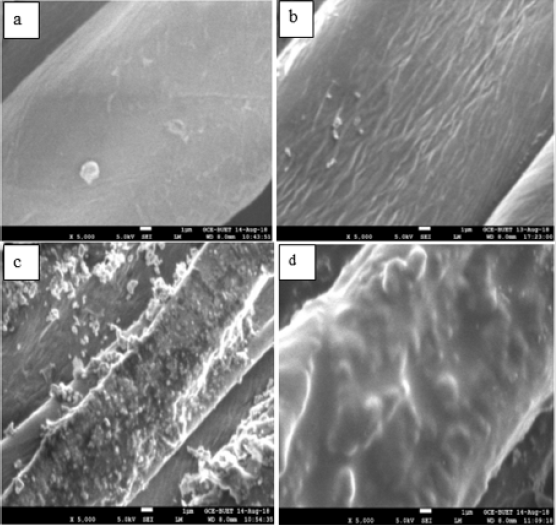 biomedres-openaccess-journal-bjstr