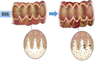 biomedres-openaccess-journal-bjstr