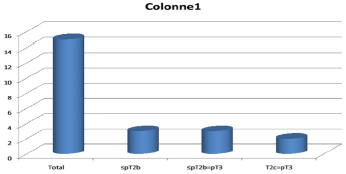 biomedres-openaccess-journal-bjstr