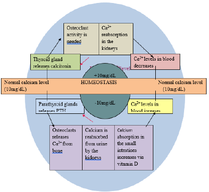 biomedres-openaccess-journal-bjstr