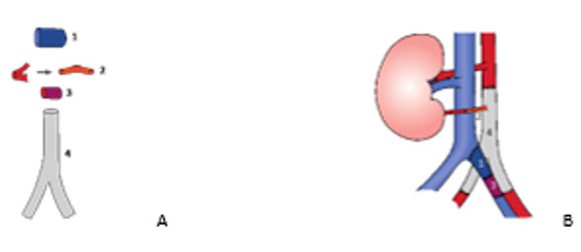 biomedres-openaccess-journal-bjstr