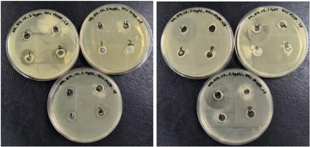 biomedres-openaccess-journal-bjstr