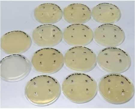 biomedres-openaccess-journal-bjstr