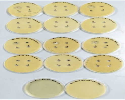 biomedres-openaccess-journal-bjstr