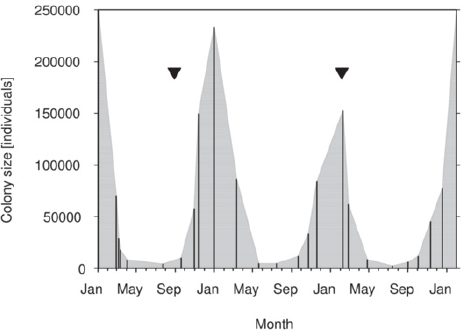 biomedres-openaccess-journal-bjstr