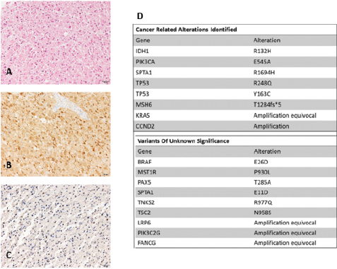 biomedres-openaccess-journal-bjstr