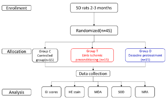 biomedres-openaccess-journal-bjstr